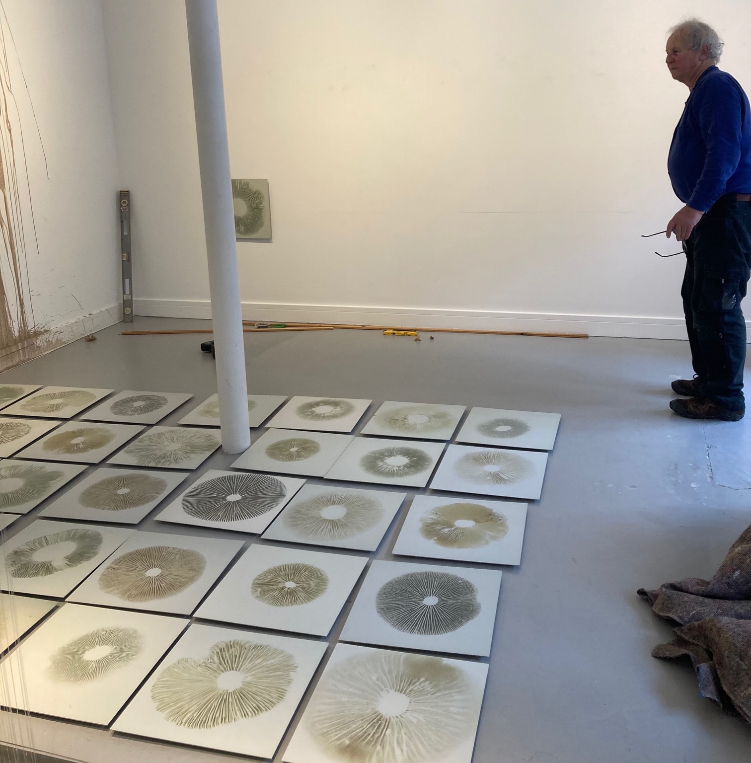 Chris Drury Spore Grid Variations, 2019