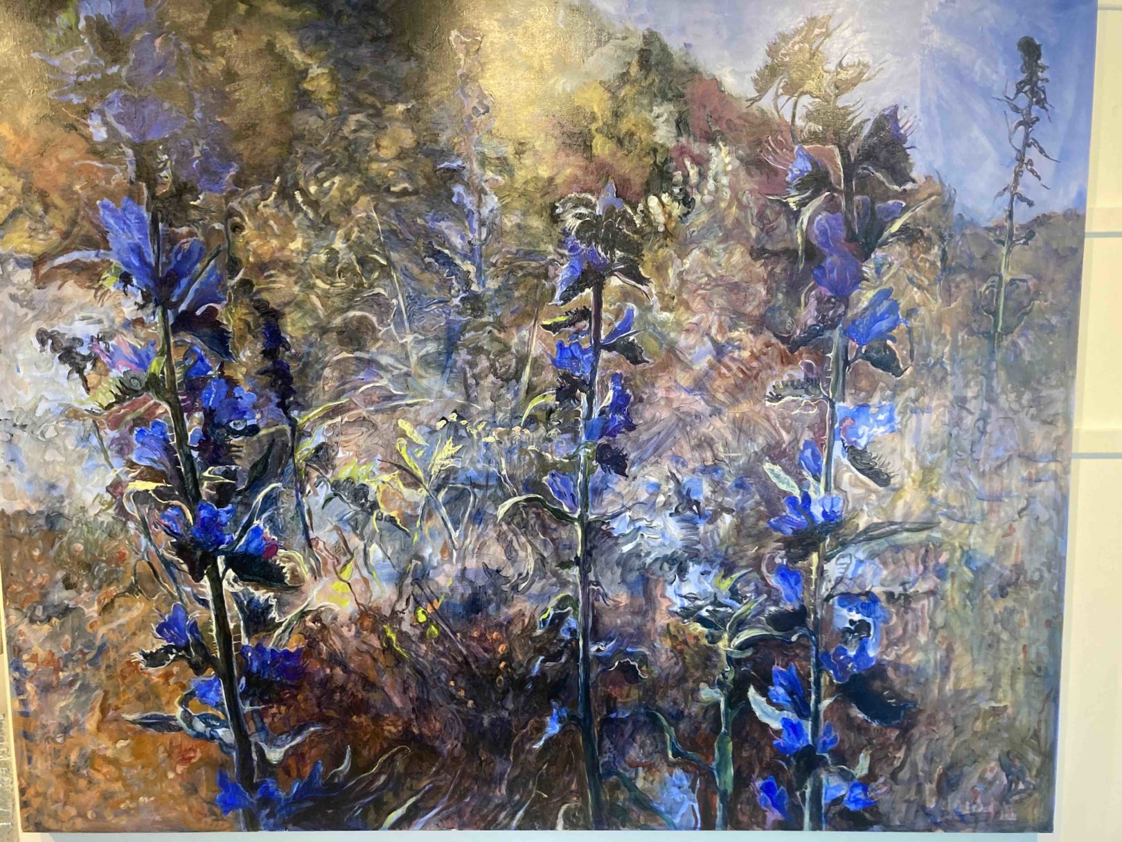 Judith Tucker Vipers Bugloss