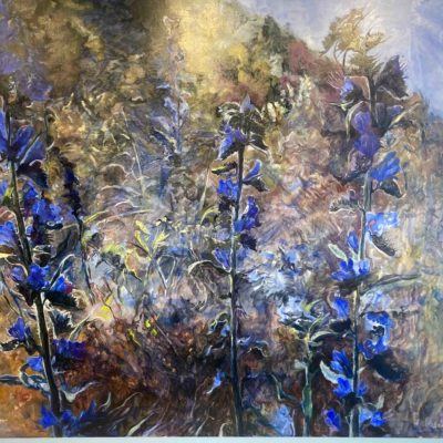 Judith Tucker Vipers Bugloss