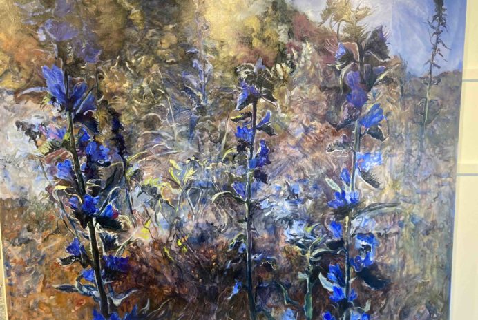 Judith Tucker Vipers Bugloss