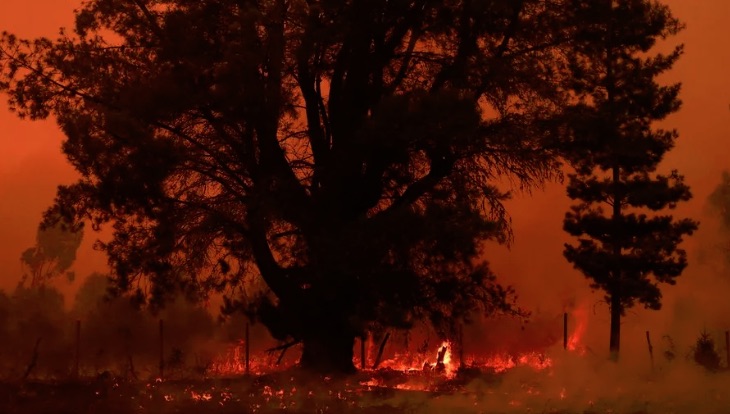 Fire in Chile, credit Ailen Diaz, Reuters