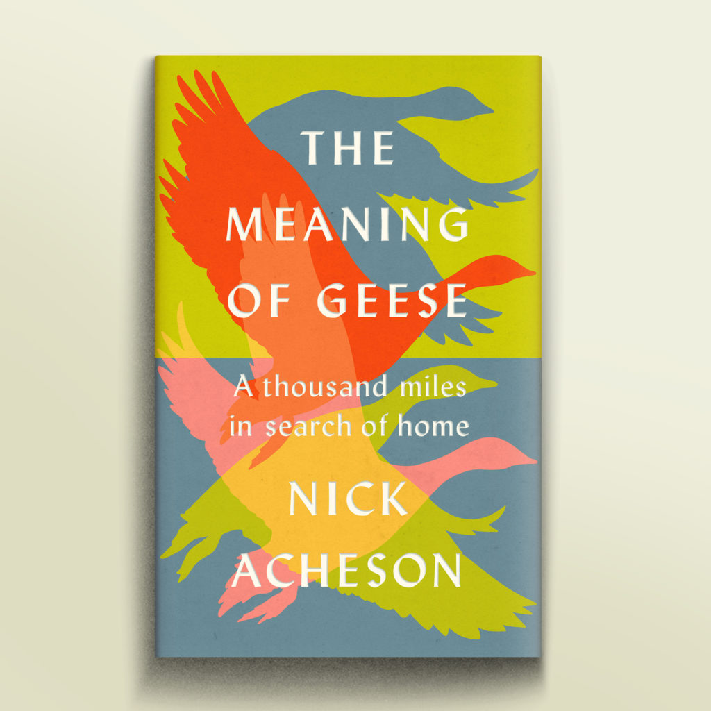 Nick Acheson the Meaning of Geese