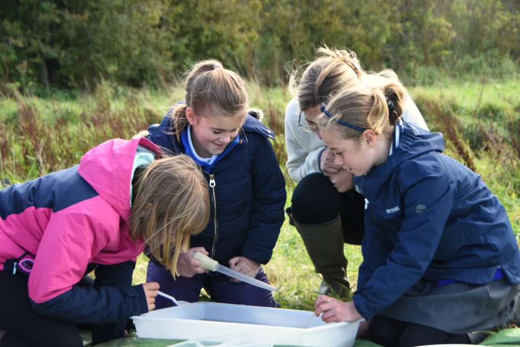 Norfolk Rivers Trust kiddy pic